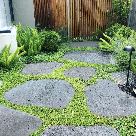 Garden steppers spaced through lawn